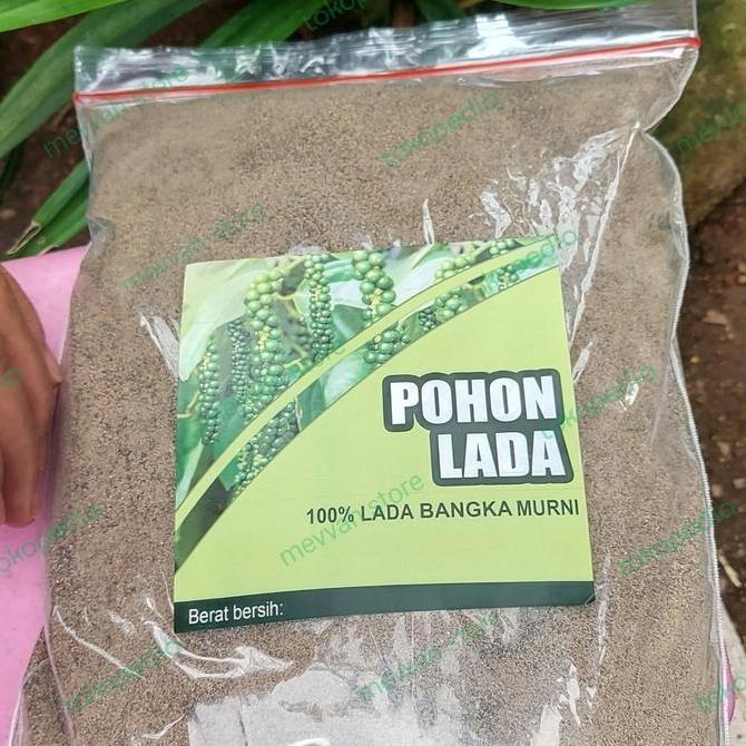 Pohon Lada Lada Hitam Halus 1 Kg