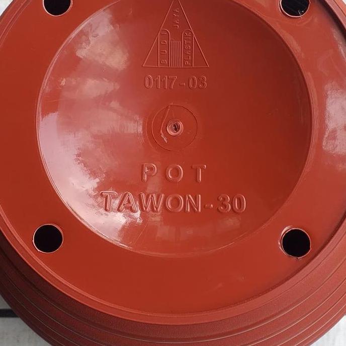pot tawon 30 cm