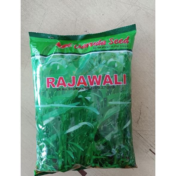Benih Kangkung Rajawali 1kg
