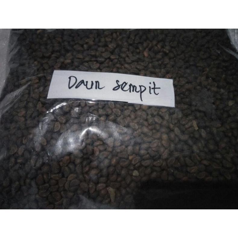 Benih Kangkung Curah Daun Sempit Jaminan Tumbuh