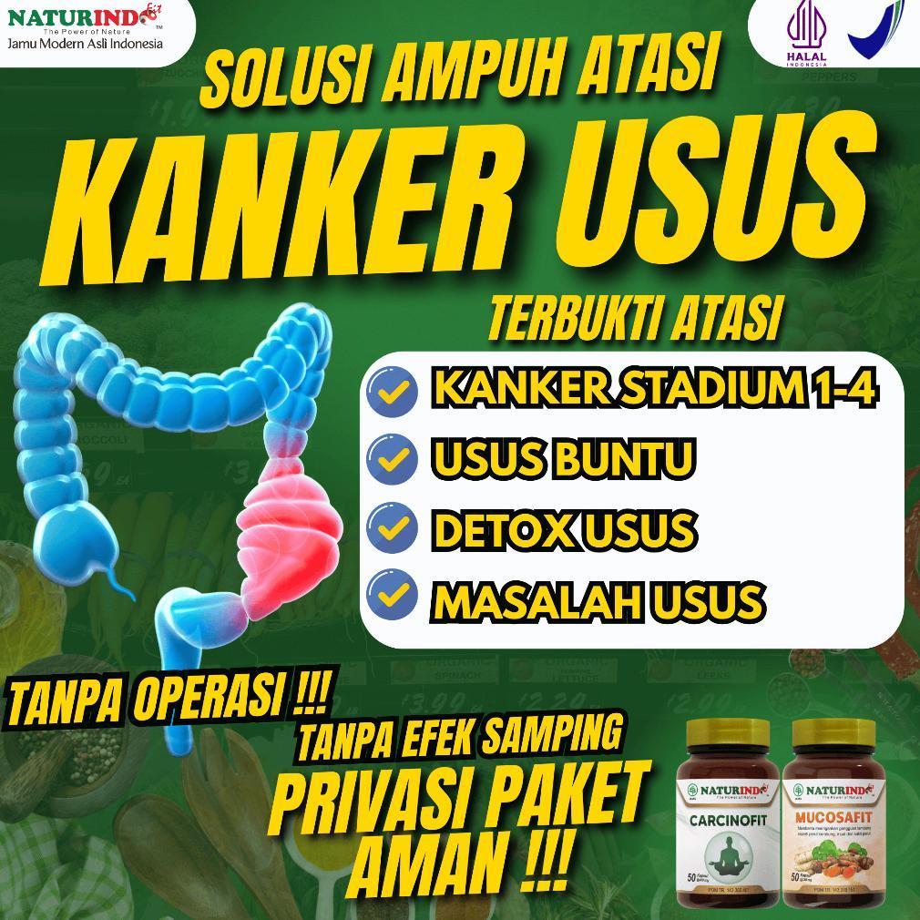Kanker Usus Detox Usus Besar Susah Bab Sembelit Wasir Herbal