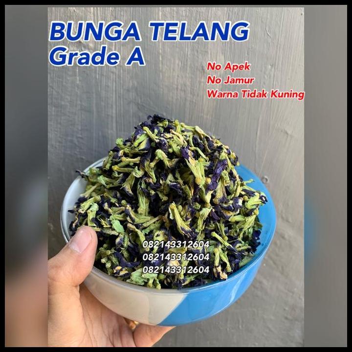 Best Quality Bunga Telang Organik 500 Gr/Teh Telang Kering/Teh Biru/ Butterfly Pea