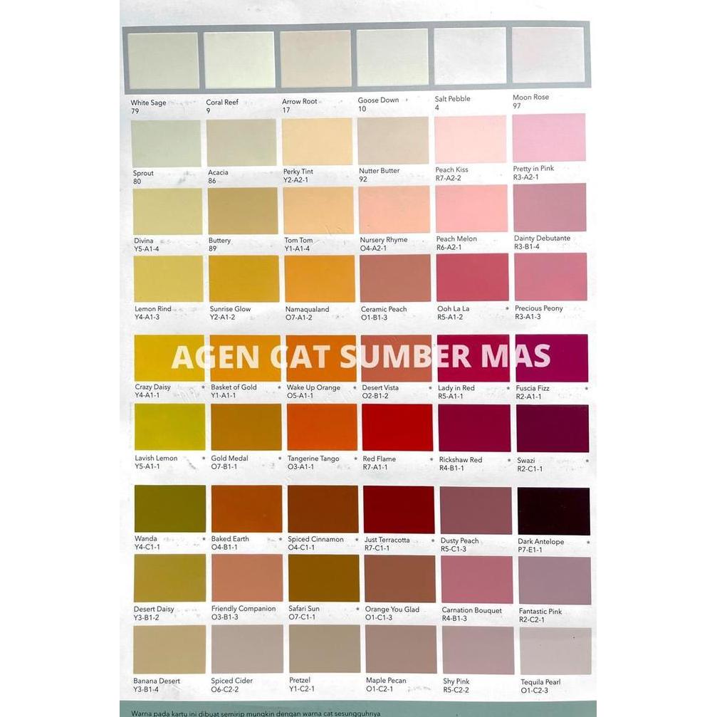 KANSAI PAINT splesh cat exterior semua warna TINTING 20 liter pail