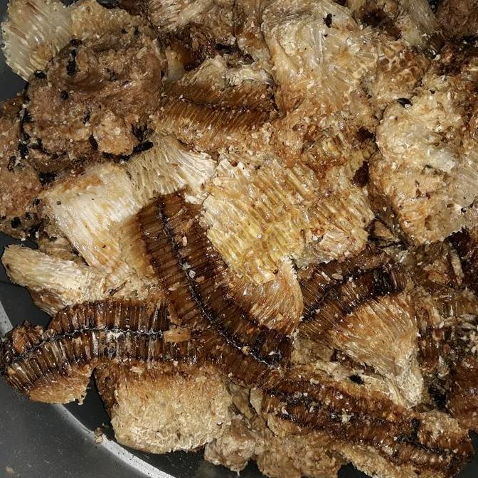 Lilin Lebah / Beeswax 1kg Asli dan Murni dari sarang lebah