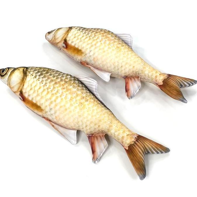 Boneka Ikan Mas Kaer san Realistis Unik untuk Kado Cat Nip Mainan Kucing Anabul Shrelo Kado Kocak Ba