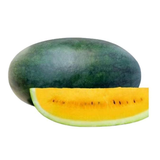 Benih Semangka Kuning BIG MADURI 20gr Bintang Asia