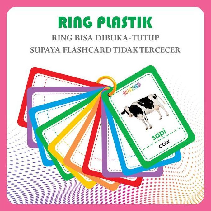 Promo Flashcard Ring Binatang Darat Air Udara Kartu Pintar Edukasi Hewan Animal Flash Card Belajar A