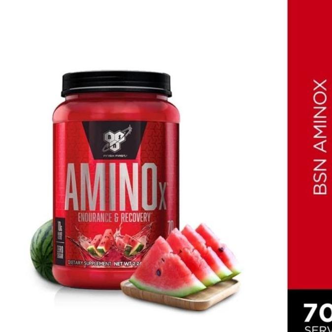 aminox amino x bsn 70 serving bsn amino x xtend bcaa best bcaa carniv