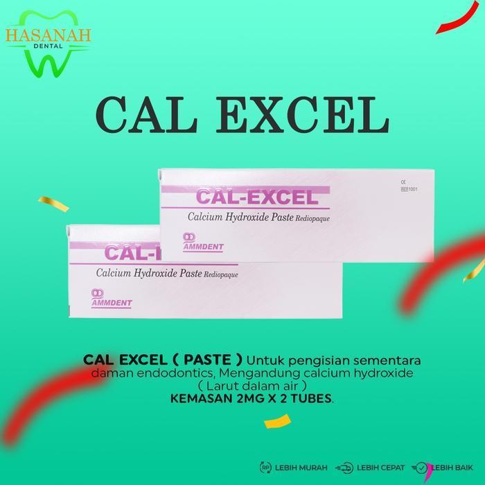 CAL EXCEL AMMDENT ( BAHAN PENGISIAN SEMENTARA SALURAN AKAR )