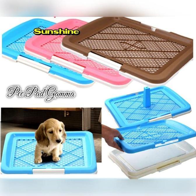 Pet Toilet Tray Large Dog - Pee Pad Training Gamma L Anjing