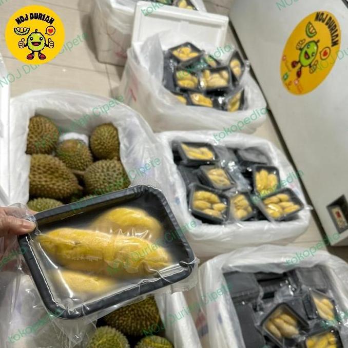 Frutting- Durian Musangking / Musangking Malaysia / Durian Musang King