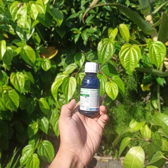 Fungisida Pembasmi Jamur tanaman