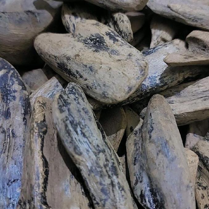 Kayu Gaharu Merauke Papua wangi Asli GM01