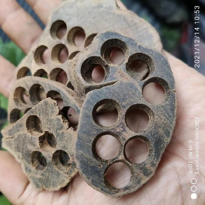 kayu gaharu wangi chips serpihan geragal plong , untuk dupa, bukhur, wewangian