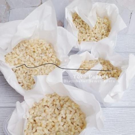 New | Jual Kroto Khusus Telur Besar 1 Ons - Besek Bambu Berkualitas