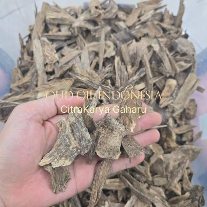 Kayu Gaharu Asli Alami Kalimantan KC Super