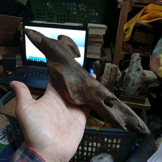 kayu gaharu ramin Kalimantan tenggelam unik