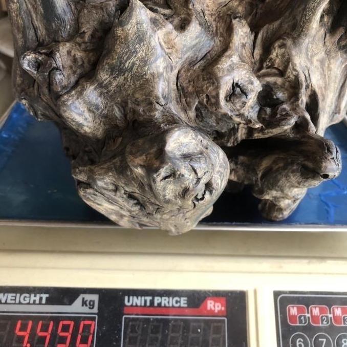 gaharu dekor Gaharu Kalimantan