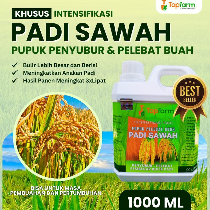 Bisa Cod Pupuk Padi Sawah Terbaik / Pupuk Padi Sawah Terbaik / Pupuk Padi Semprot Penyubur / Pupuk P