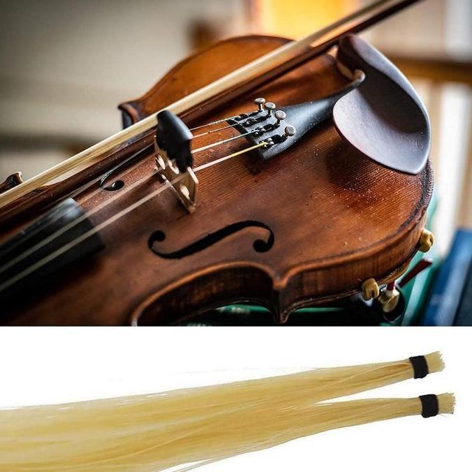 IDSTORE Hair Bow Violin / Bow Hair / Hair bow  / rambut untuk Violin Rambut Kuda Asli