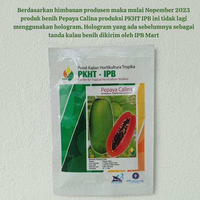 Benih Pepaya Calina PKHT IPB 9 (California) Callina