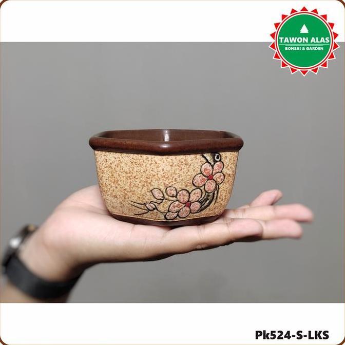 Grdwix- Pot Keramik Bonsai Sukulen Kaktus Segi Enam Kecil Small Bukan Plastik - Cokelat