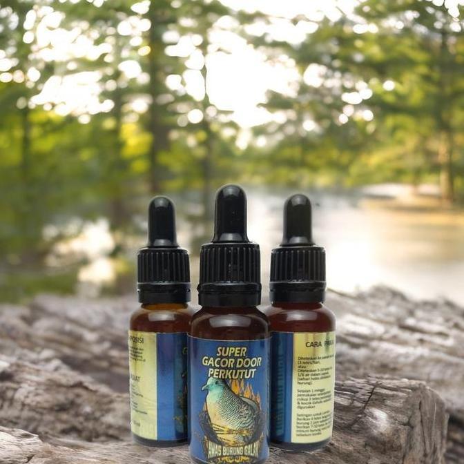 Bridwoi- Super Gacor Door Perkutut Penggacor Seketika