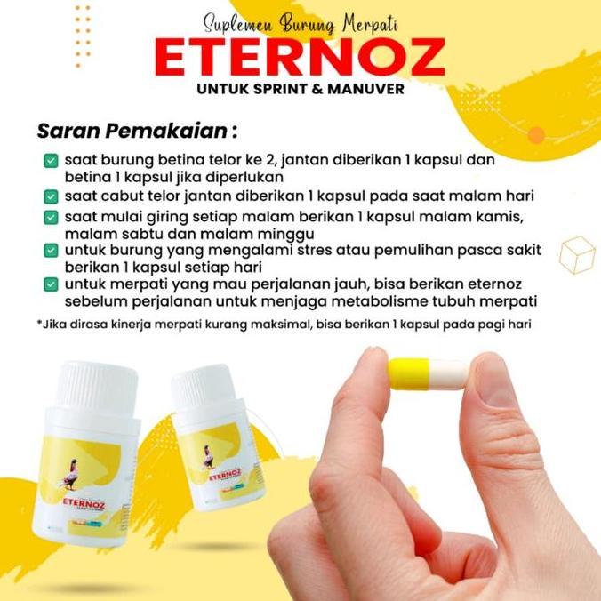 Bridwoi- Jamu Merpati Eternoz Kuning Putih Burung Sprint Manuver Burung Merpati