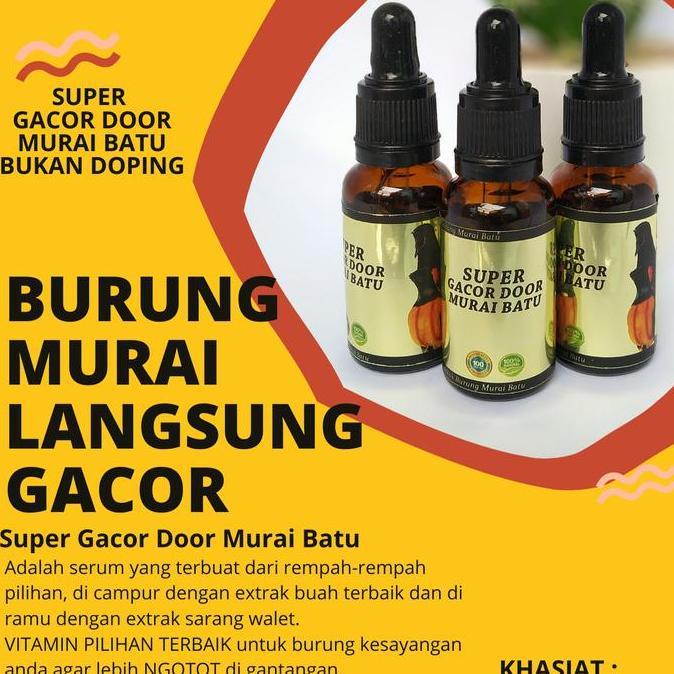 Bridwoi- Penggacor Murai Batu Super Gacor Door Murai Batu Juara Gantang