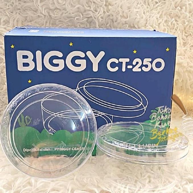 BIGGY : CT250 TOPLES MIKA NASTAR KUE KERING 500 GR CT 250 (12BH)