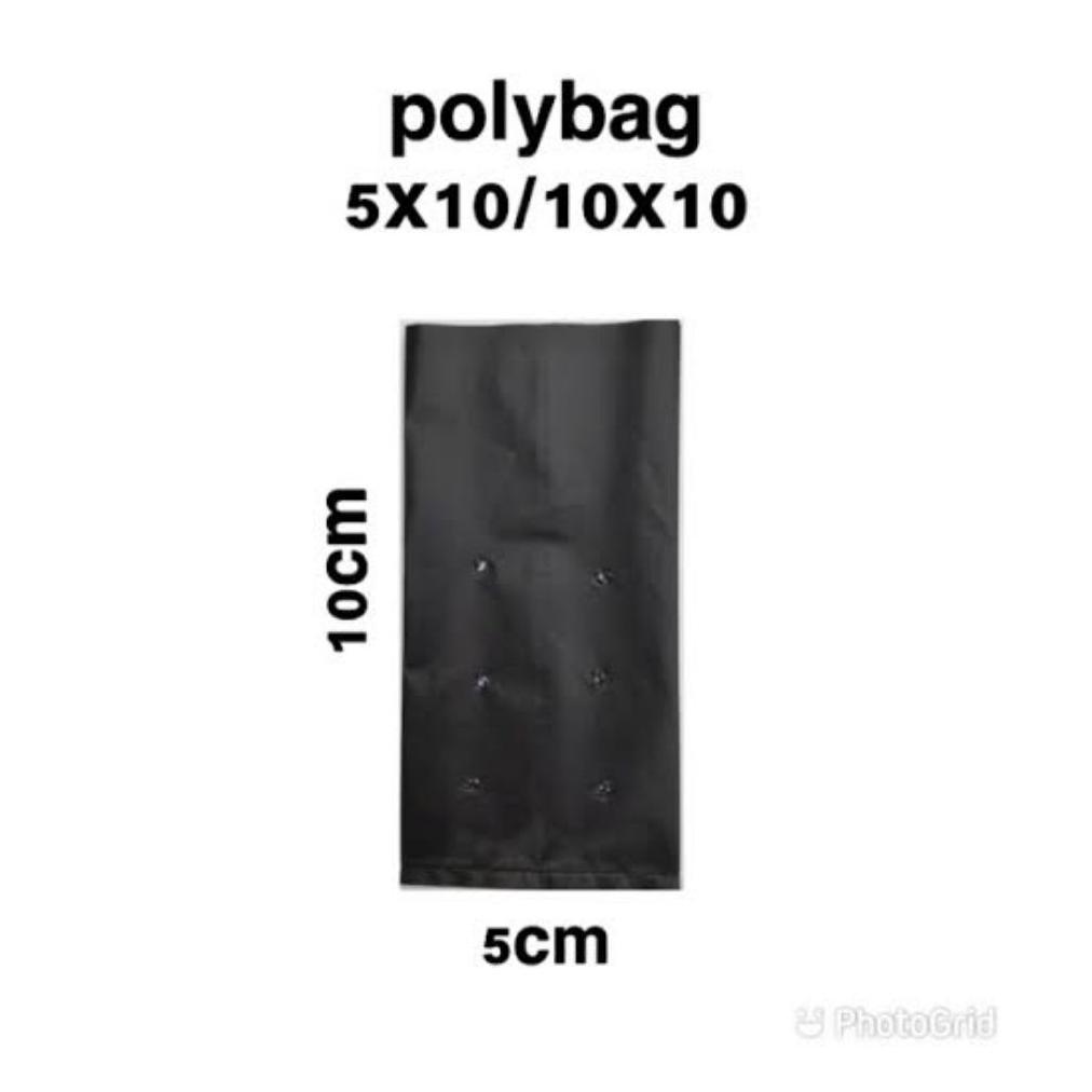 Bisa Cod Polybag Tanaman Khusus Semai Isi 800 Pcs / Polybag Tanaman Kecil Untuk Semai Bibit ><