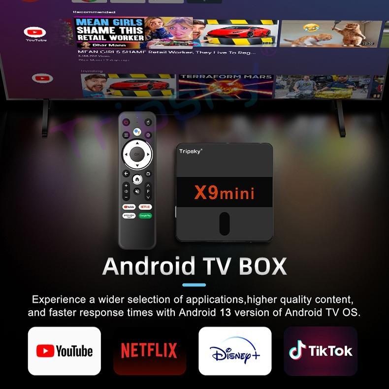 HOT Tripsky X9mini Android Tv Box 4K Stb Android Tv Box Android 9 Ram 2G Rom 16G Bluetooth Smart Tv 