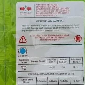 Benih cabe rawit DEWATA 43 F1 2.250 butir benih cabe rawit putih