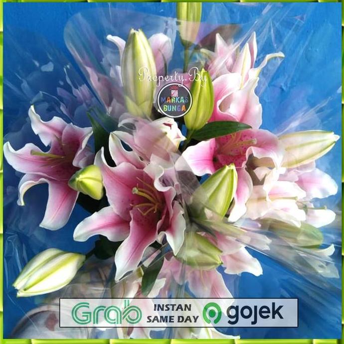 Flowpick- Bunga Lily Casablanca / Bunga Lily Asli Fresh