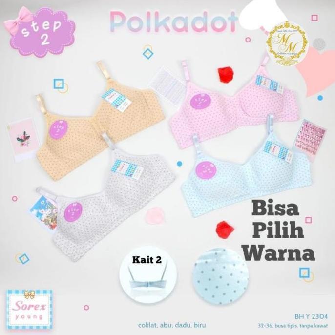 Bh / Minibra / Miniset Step 2 Sorex Y 2304