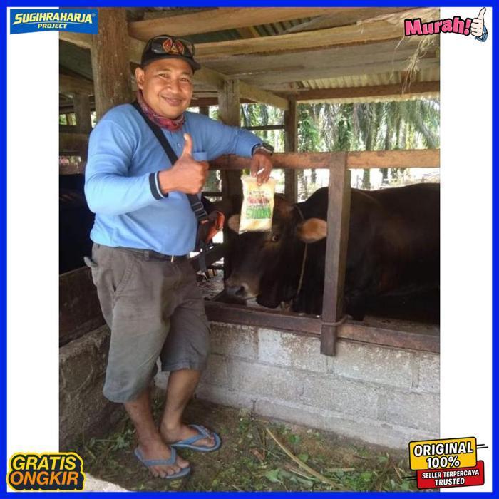 Quality Jamu Sapi Dan Kambing Nyeor Ejuh Jamu Sapi Lahap Makan Jamu Sapi Cepat Gemuk Jamu Sapi Nyeor