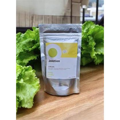 1000 butir benih selada RZ jonction / rz junction / benih bibit selada keriting hijau import belanda