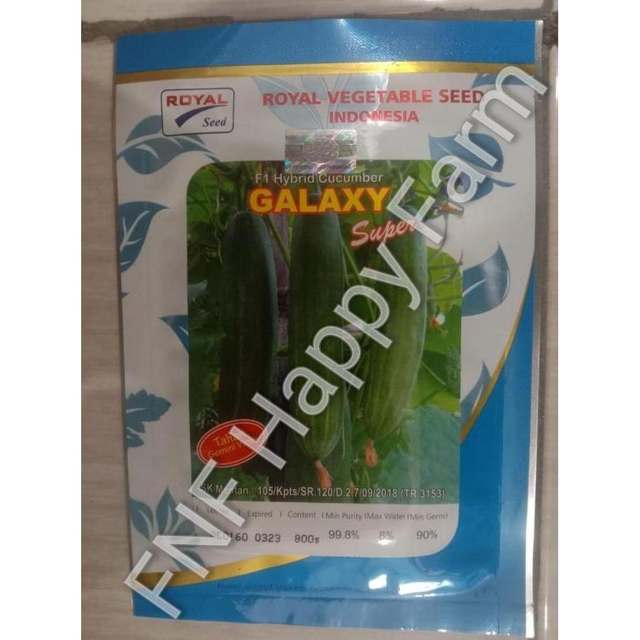 Benih Timun Galaxy Super F1 800 butir