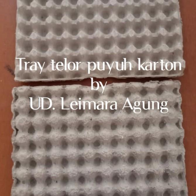 tray puyuh karton/tempat telur puyuh karton