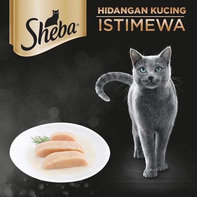 SHEBA POUCH BELI LANGSUNG 1 DUS | Sheba Pouch isi 24 Wet Food