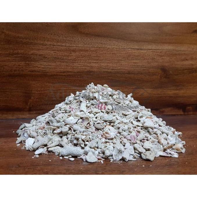 BATU KARANG JAHE KECIL 1KG / 2KG MEDIA FILTER AQUARIUM AQUASCAPE (TERBAIK) (TERBARU) (TERMURAH)