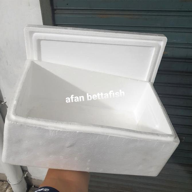 Styrofoam Box Kecil / Styrofoam Fish Box 5KG