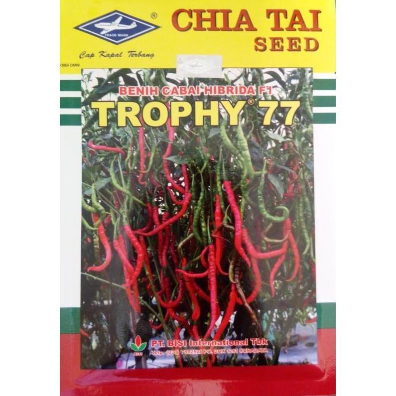 BENIH CABAI KERITING HIBRIDA TROPHY 77