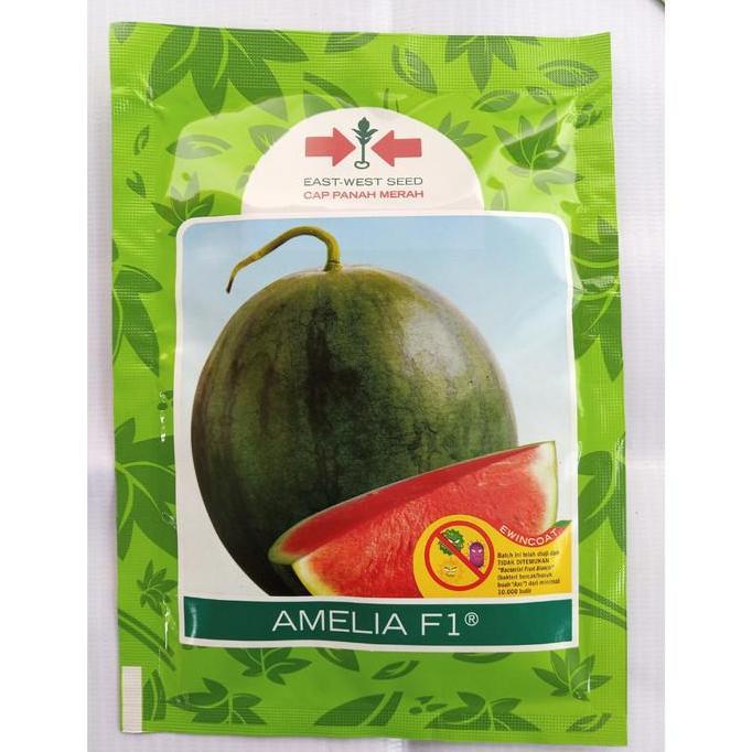 Benih AMELIA F1 (360 Biji) - Bibit Semangka Non Biji Cap Panah Merah