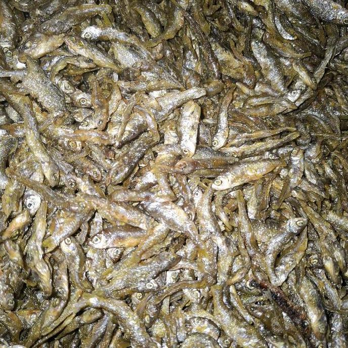 ikan bilih goreng kering ikan bilih singkarak