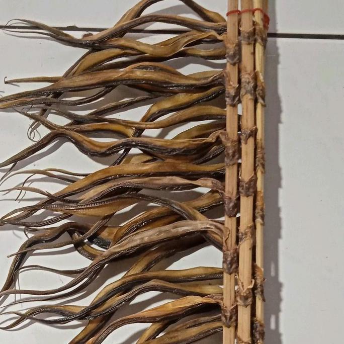 belut  kecil belut jemur kering