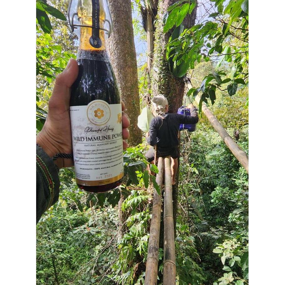 Woiiini- Wild Immune Power / Madu Hutan Alami 100% Asli ( Madu Pohon Mahoni )