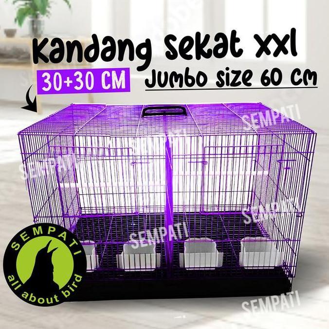 Kicaudor- Sempati Sangkar Kandang Umbaran Sekat 60X40X40 Sangkar Ternak Burung Lovebird Kandang Hewa
