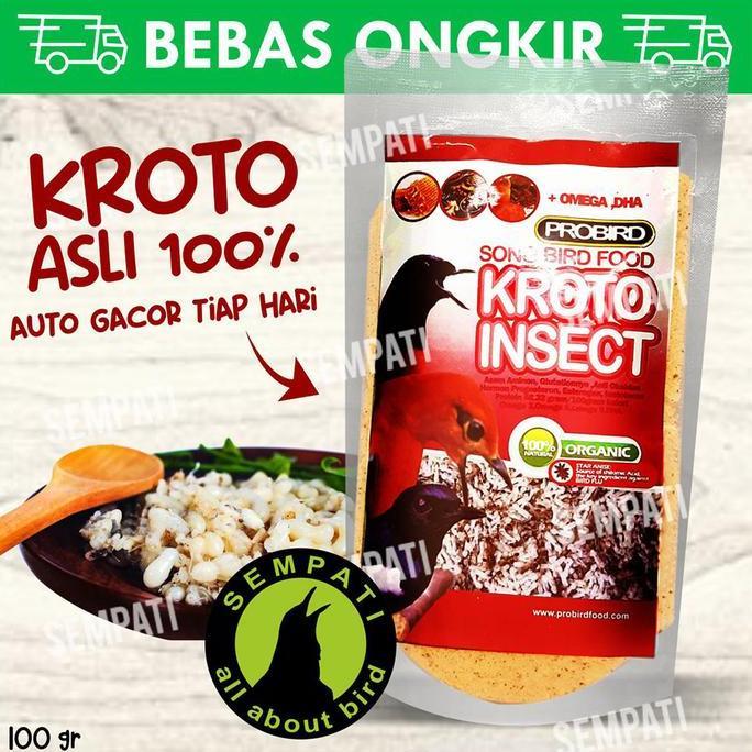 Kicaudor- Pakan Burung Murai Kacer Kroto Insect Probird