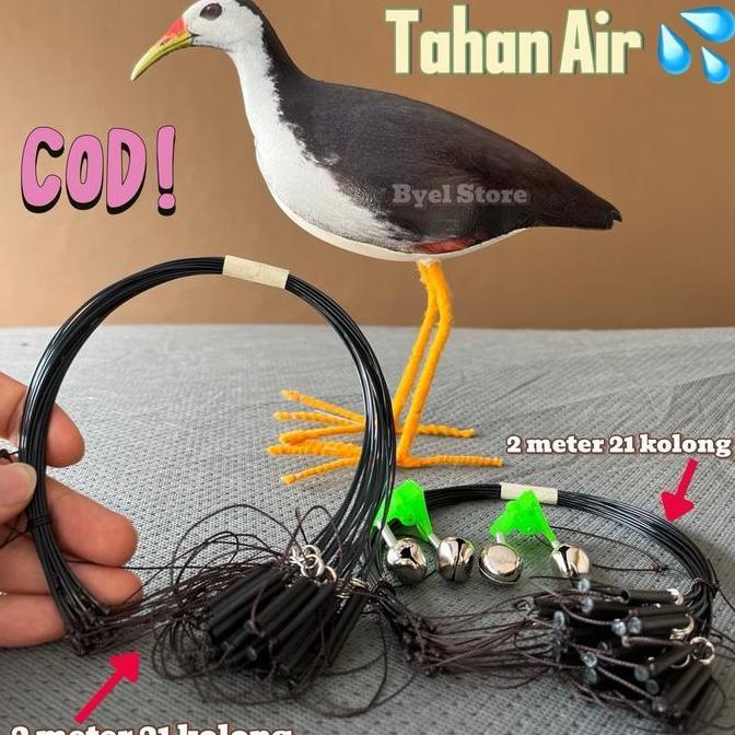 Kicaudor- Jebakan Racik Burung Ruak Ruak Sawah Kareo Padi